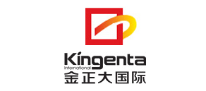 金正大国际