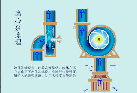 离心泵在原理动图